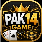 PAK14 Game